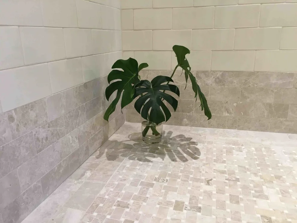 Royal Avenue by Palmetto Tile Distributors - Photo 2