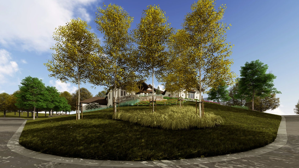 Clean Geometry Perimeter Overflow by Lorax Design Group - Photo 5