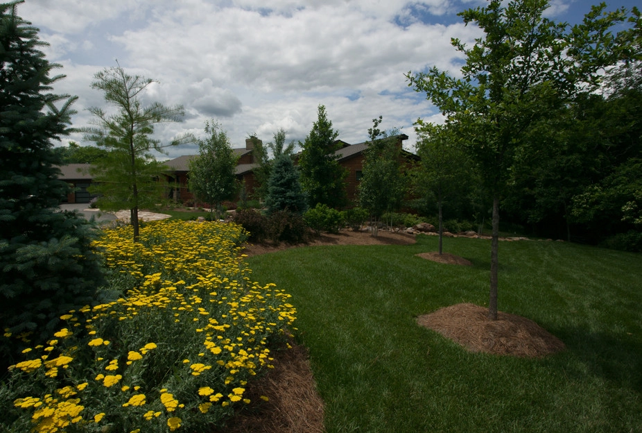 Shawnee Suburban Estate by Lorax Design Group - Photo 6