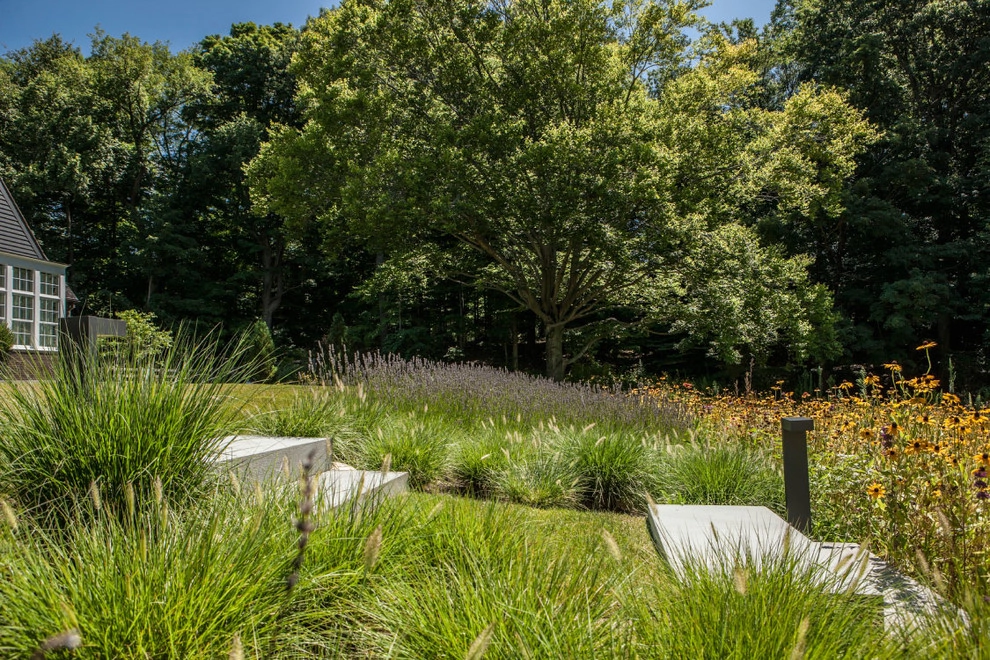 Back Country Sanctuary by Louis Fusco Landscape Architects - Photo 3