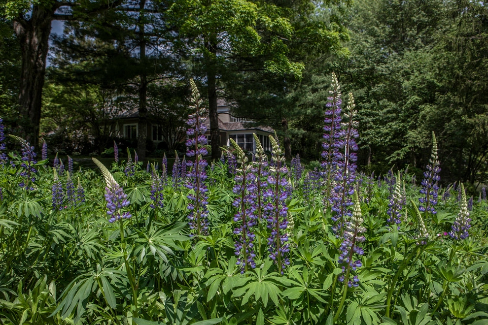Lakeside Haven by Louis Fusco Landscape Architects - Photo 3