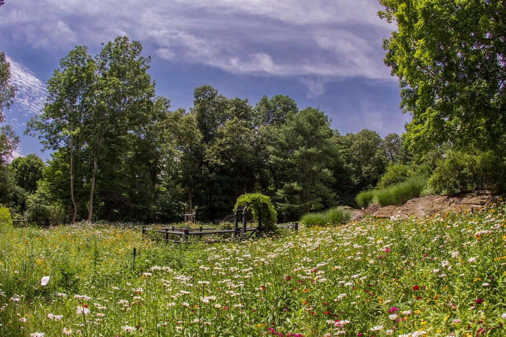 Louis Fusco Landscape Architects - Photo 10