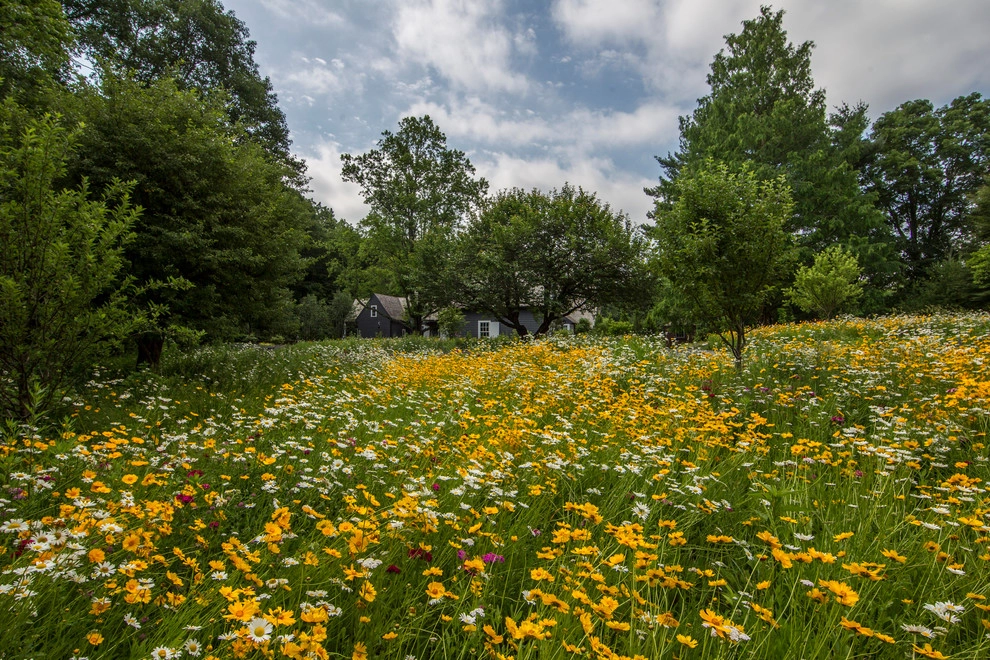Back Country Sanctuary by Louis Fusco Landscape Architects - Photo 2
