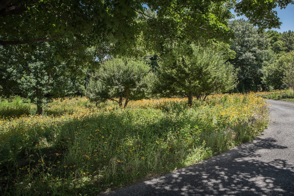 Back Country Sanctuary by Louis Fusco Landscape Architects - Photo 8