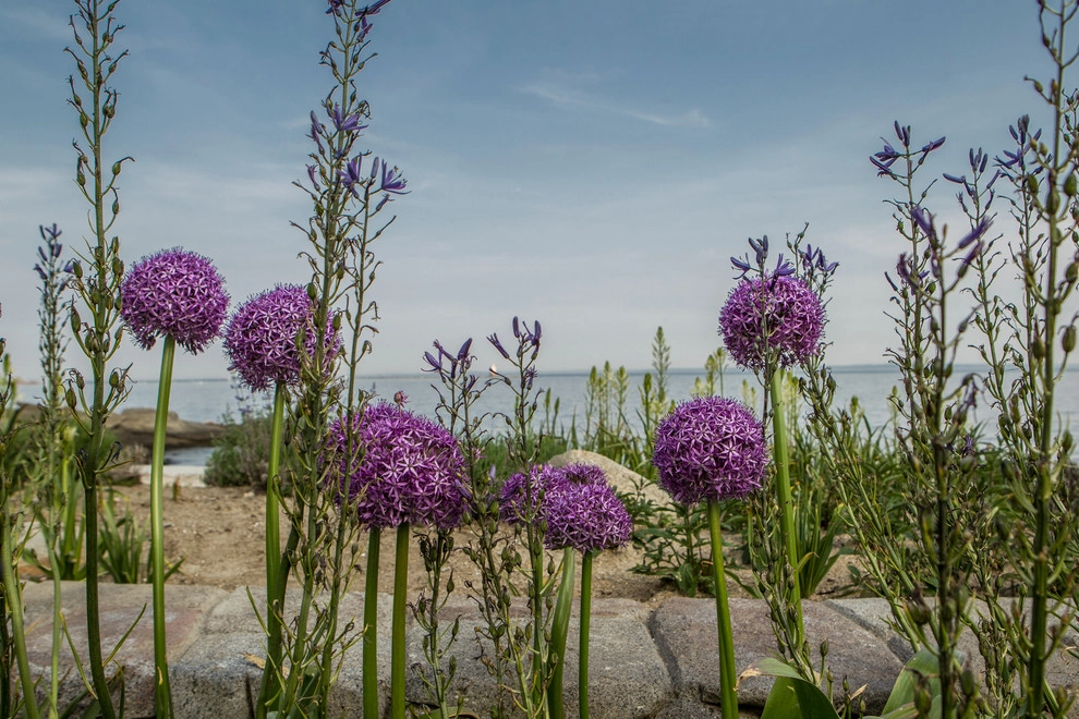 Louis Fusco Landscape Architects - Photo 11