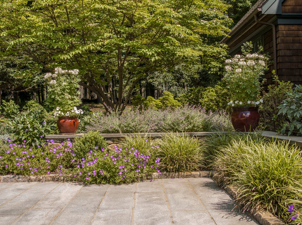 Treetop Vista by Louis Fusco Landscape Architects - Photo 4