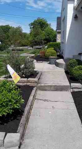 Alberto Alavez Professional Lawn Services LLC 5 by Alberto Alavez Professional Lawn Services LLC - Photo 90