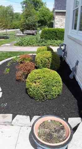 Alberto Alavez Professional Lawn Services LLC 5 by Alberto Alavez Professional Lawn Services LLC - Photo 92