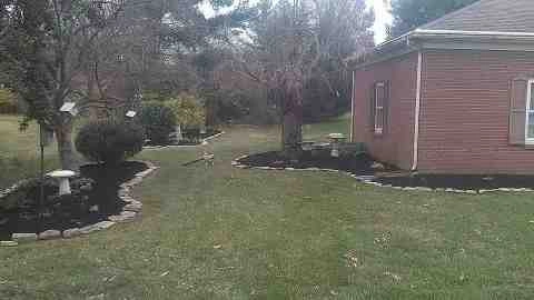 Alberto Alavez Professional Lawn Services LLC 4 by Alberto Alavez Professional Lawn Services LLC - Photo 169