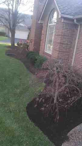 Alberto Alavez Professional Lawn Services LLC 4 by Alberto Alavez Professional Lawn Services LLC - Photo 76
