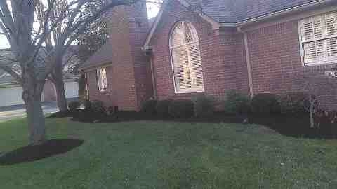Alberto Alavez Professional Lawn Services LLC 4 by Alberto Alavez Professional Lawn Services LLC - Photo 120