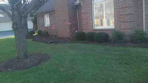 Alberto Alavez Professional Lawn Services LLC 4 by Alberto Alavez Professional Lawn Services LLC - Photo 112