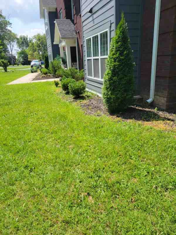 Alberto Alavez Professional Lawn Services LLC 4 by Alberto Alavez Professional Lawn Services LLC - Photo 174