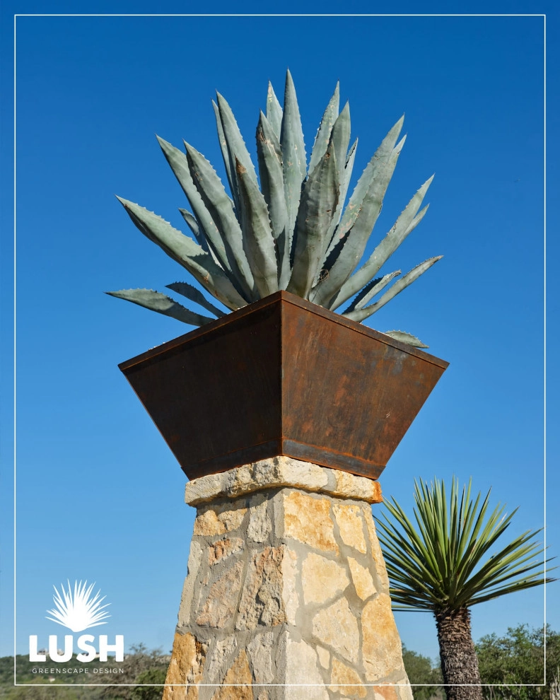 El Chaparral by LUSH GreenScape Design - Photo 2