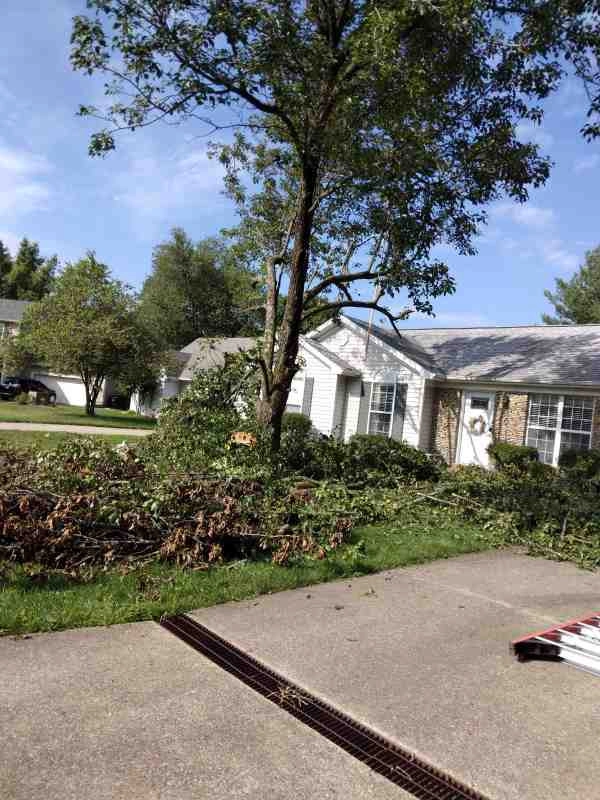 Alberto Alavez Professional Lawn Services LLC 4 by Alberto Alavez Professional Lawn Services LLC - Photo 50