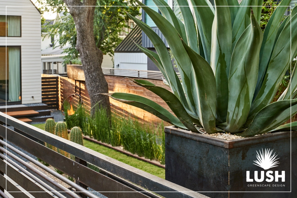 Casa Medrano by LUSH GreenScape Design - Photo 8