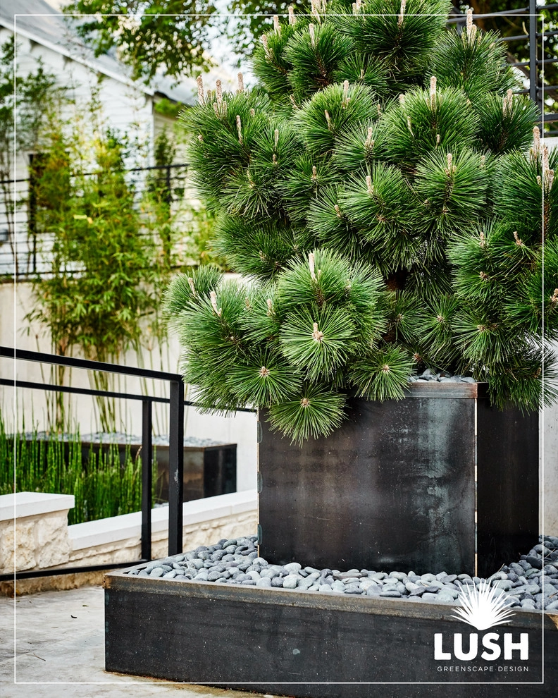 iGavel Auctions by LUSH GreenScape Design - Photo 7