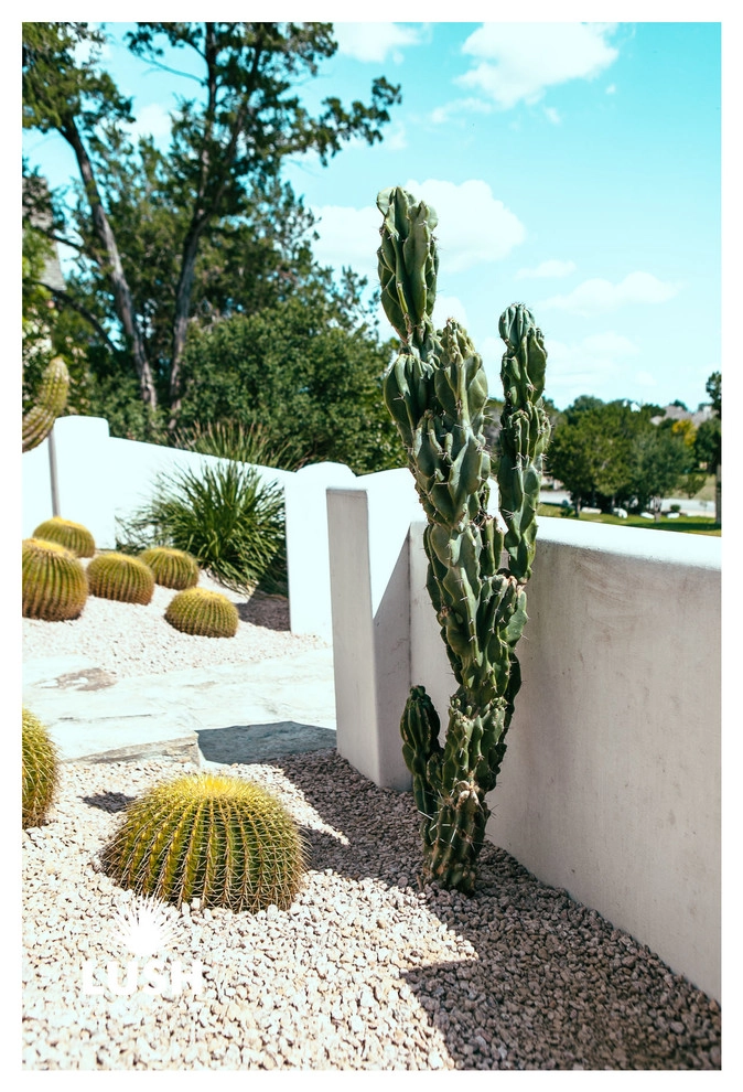 Mission Trail by LUSH GreenScape Design - Photo 2
