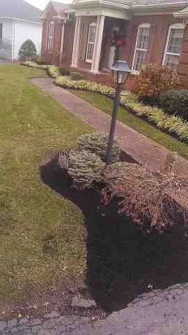 Alberto Alavez Professional Lawn Services LLC 4 by Alberto Alavez Professional Lawn Services LLC - Photo 37