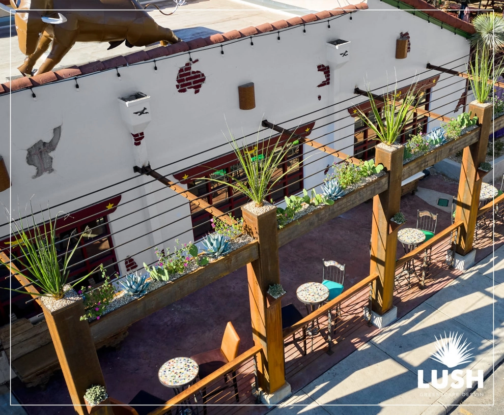 El Chaparral by LUSH GreenScape Design - Photo 4