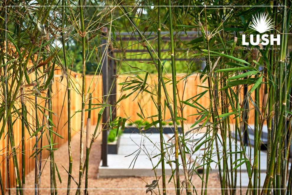 Magazine Avenue by LUSH GreenScape Design - Photo 10