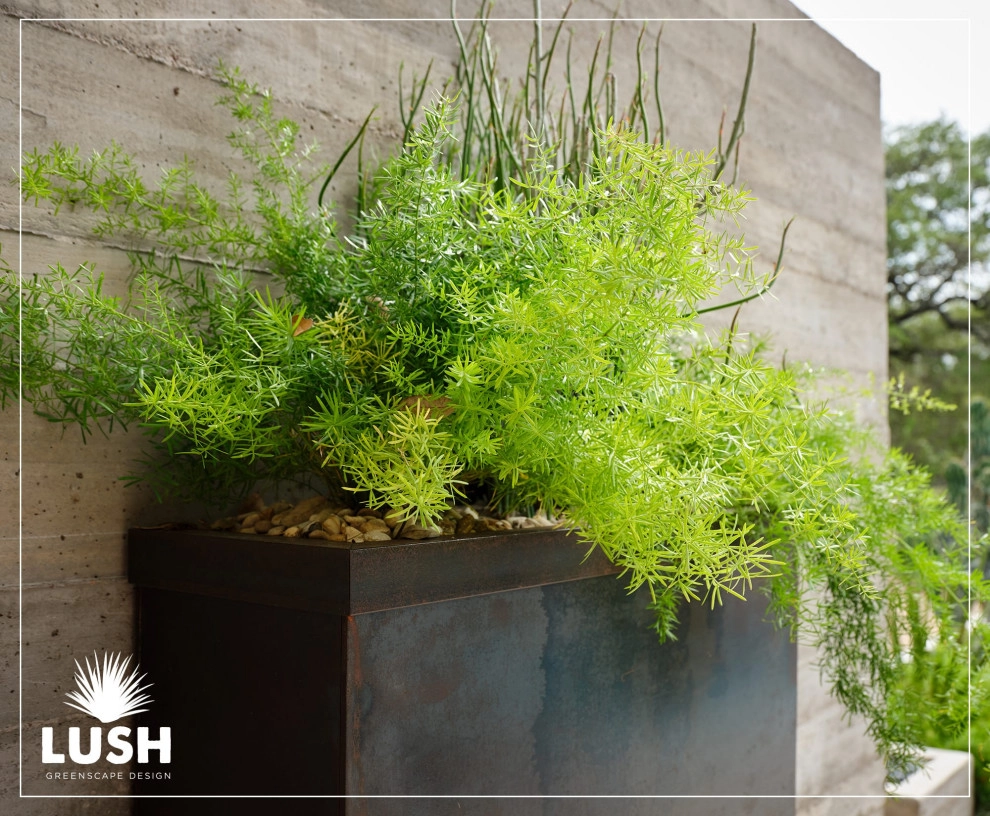 LUSH GreenScape Design - Photo 6