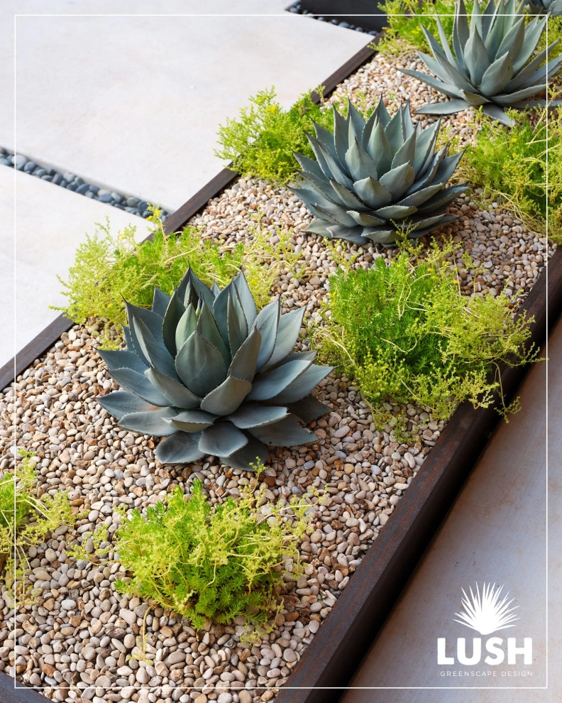 Aquifer Oaks by LUSH GreenScape Design - Photo 24