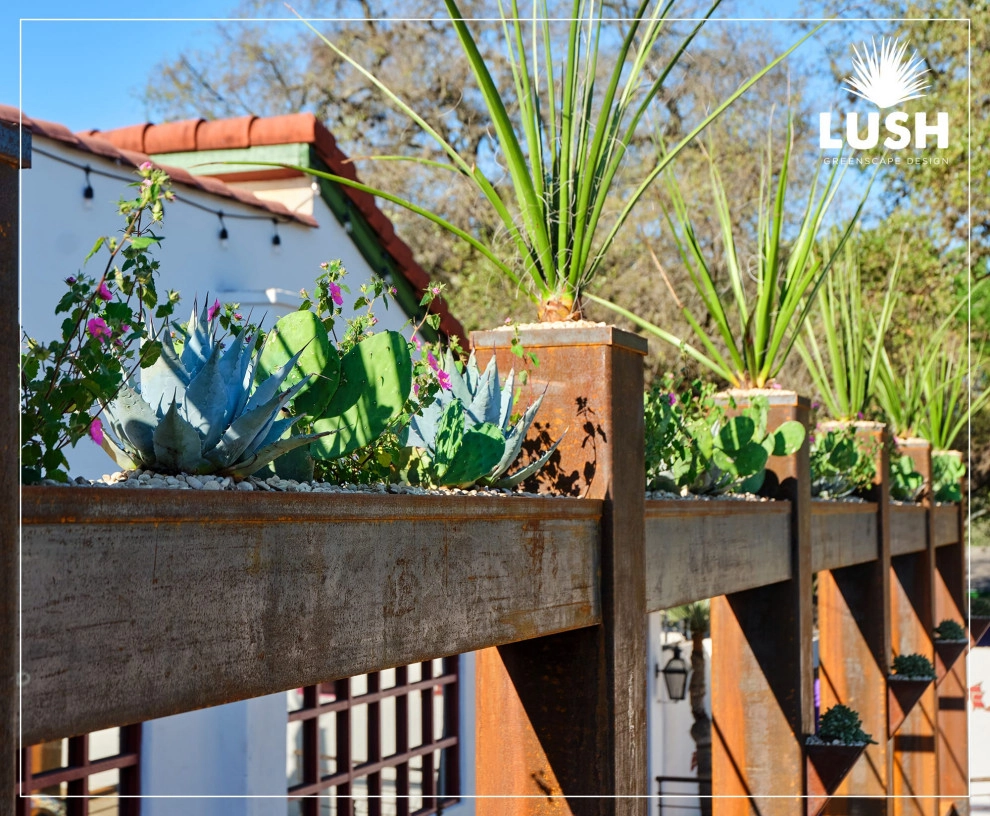 El Chaparral by LUSH GreenScape Design - Photo 7