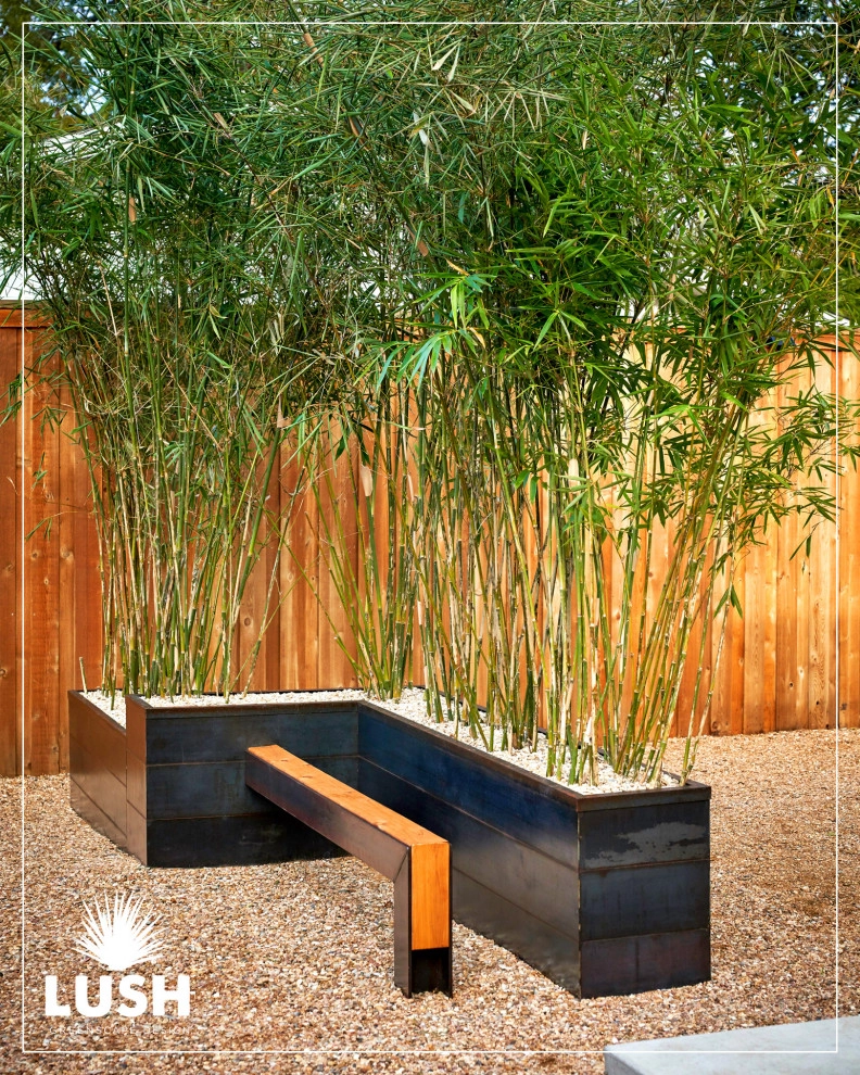 Magazine Avenue by LUSH GreenScape Design - Photo 21