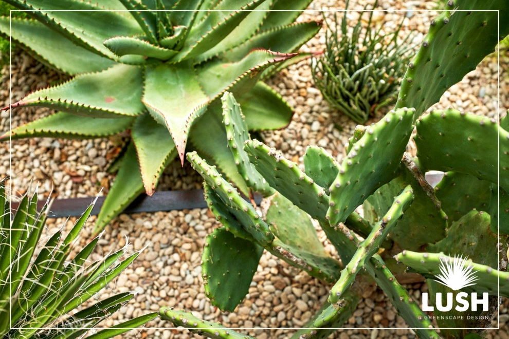 Magazine Avenue by LUSH GreenScape Design - Photo 17