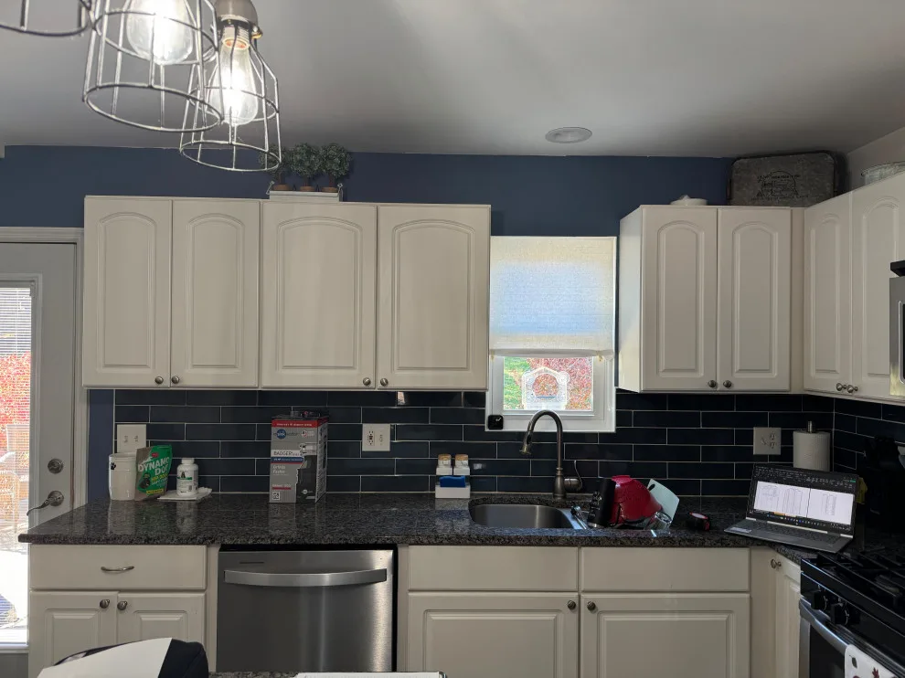 Intelligent Hybrid Kitchen Makeover by Kitchen Solvers Of Grayslake - Photo 10