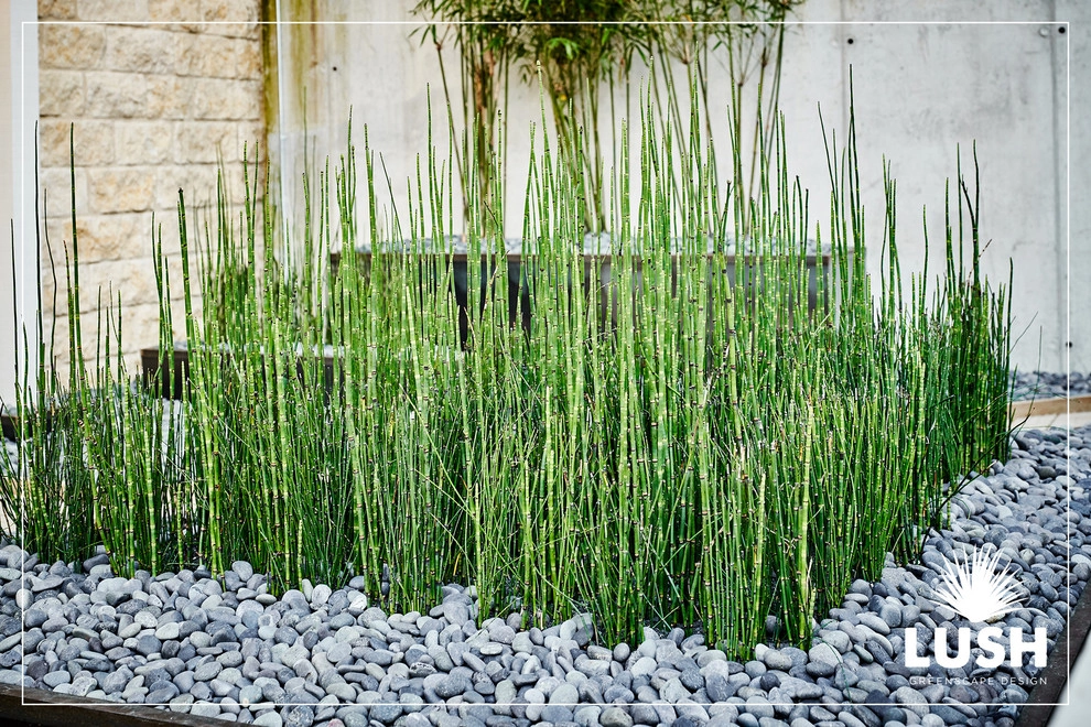 iGavel Auctions by LUSH GreenScape Design - Photo 15