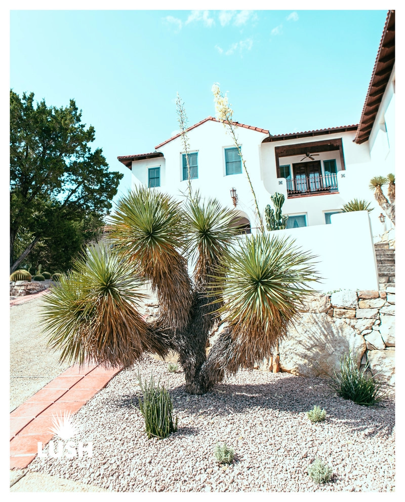 Mission Trail by LUSH GreenScape Design - Photo 7