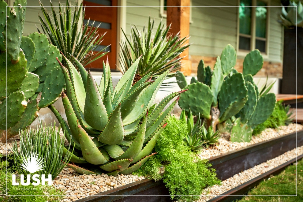 Magazine Avenue by LUSH GreenScape Design - Photo 18