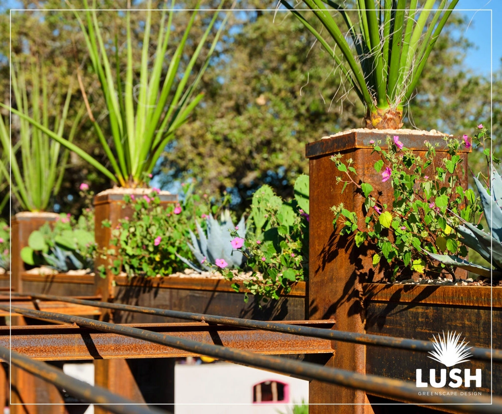 El Chaparral by LUSH GreenScape Design - Photo 11