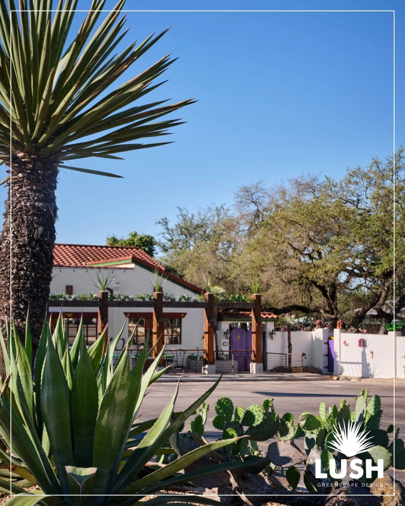 El Chaparral by LUSH GreenScape Design - Photo 8