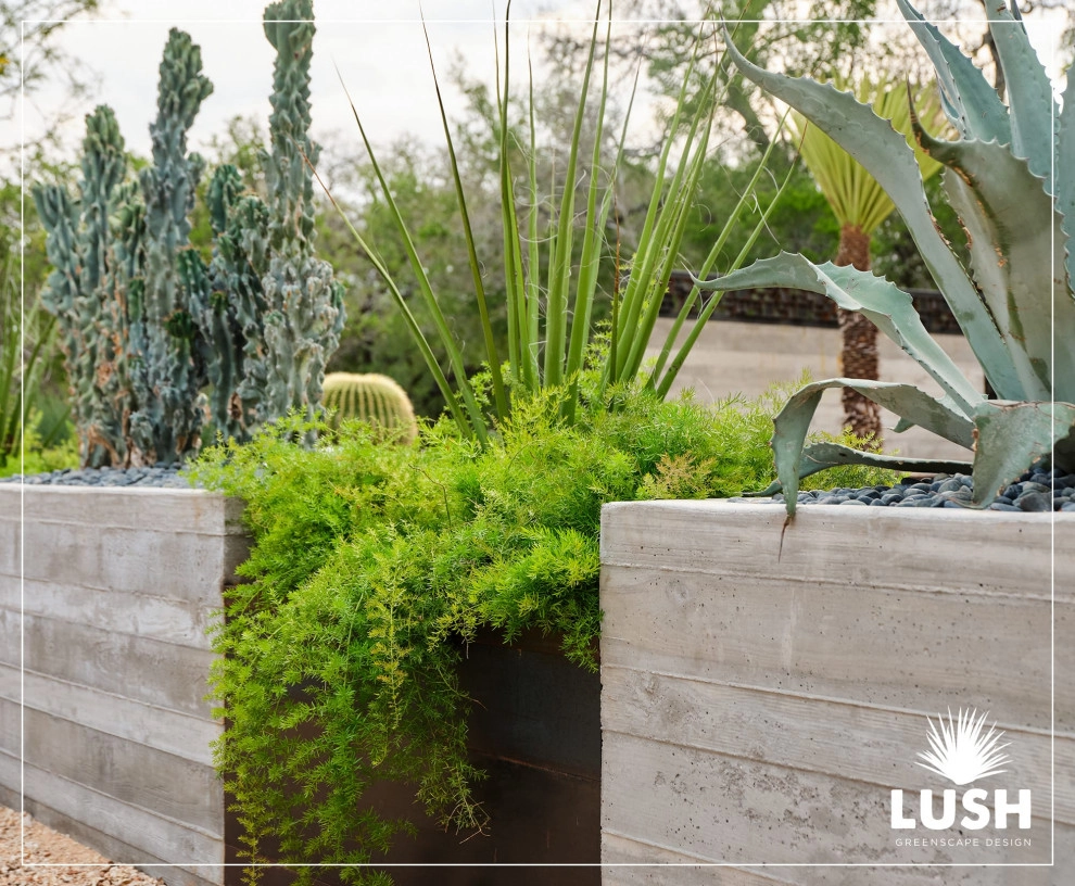 Aquifer Oaks by LUSH GreenScape Design - Photo 19