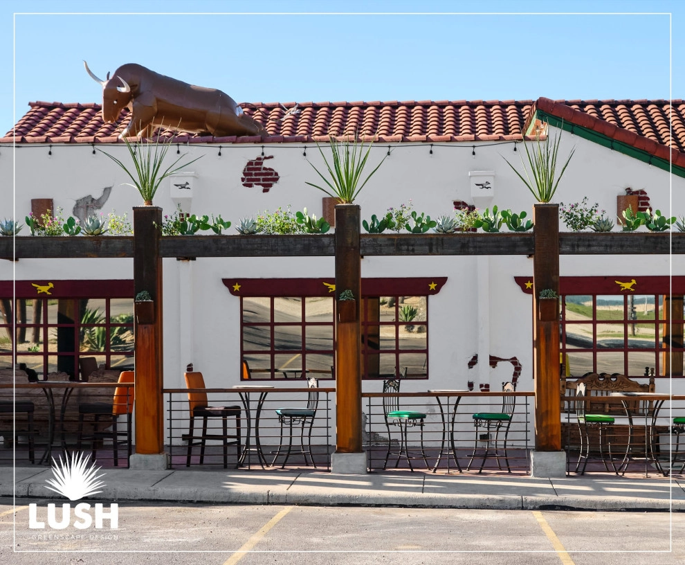 El Chaparral by LUSH GreenScape Design - Photo 5