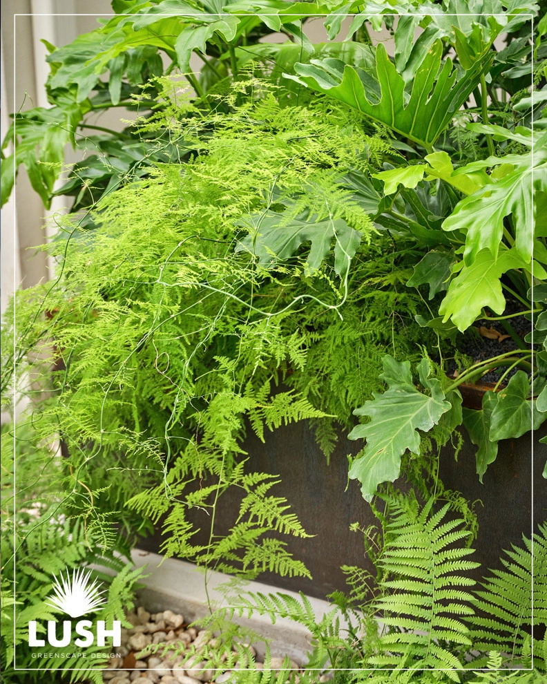 Felder Residence by LUSH GreenScape Design - Photo 5