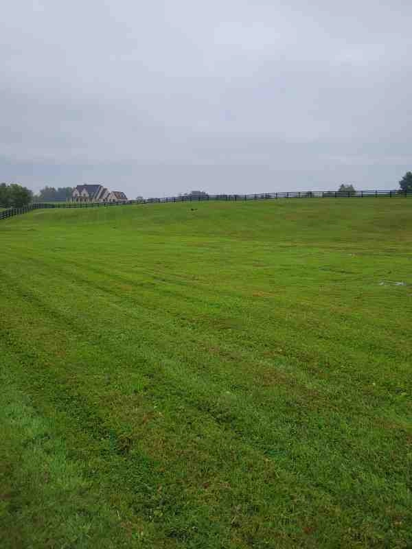 Alberto Alavez Professional Lawn Services LLC 4 by Alberto Alavez Professional Lawn Services LLC - Photo 10