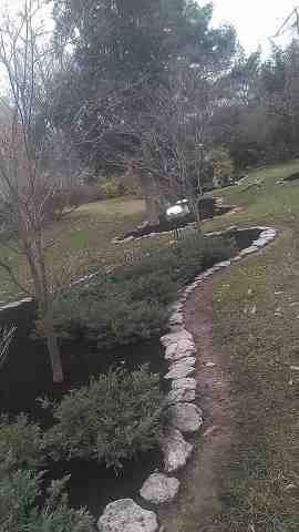 Alberto Alavez Professional Lawn Services LLC 4 by Alberto Alavez Professional Lawn Services LLC - Photo 32