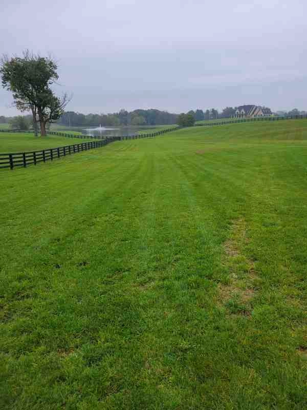 Alberto Alavez Professional Lawn Services LLC 4 by Alberto Alavez Professional Lawn Services LLC - Photo 91