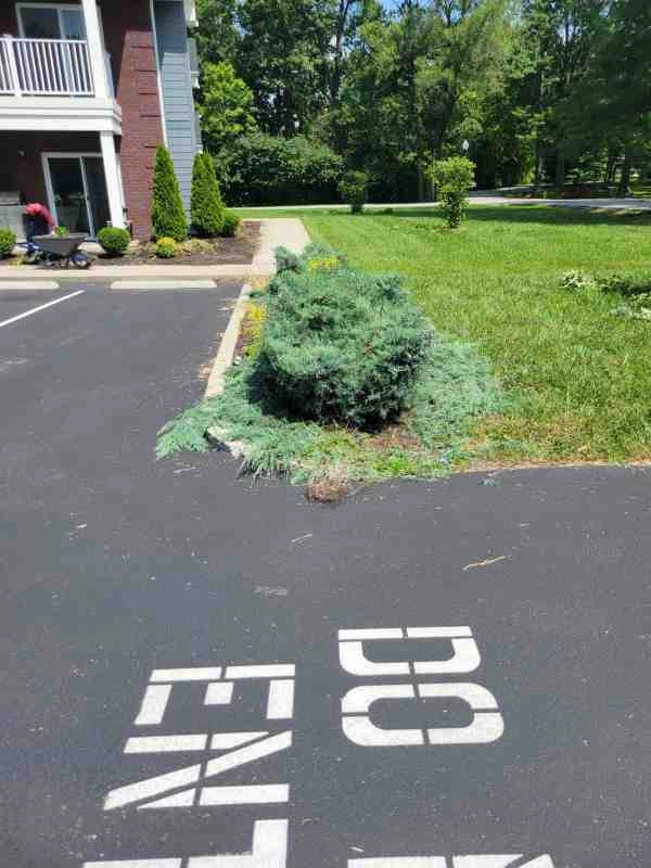 Alberto Alavez Professional Lawn Services LLC 4 by Alberto Alavez Professional Lawn Services LLC - Photo 124