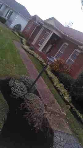 Alberto Alavez Professional Lawn Services LLC 4 by Alberto Alavez Professional Lawn Services LLC - Photo 136