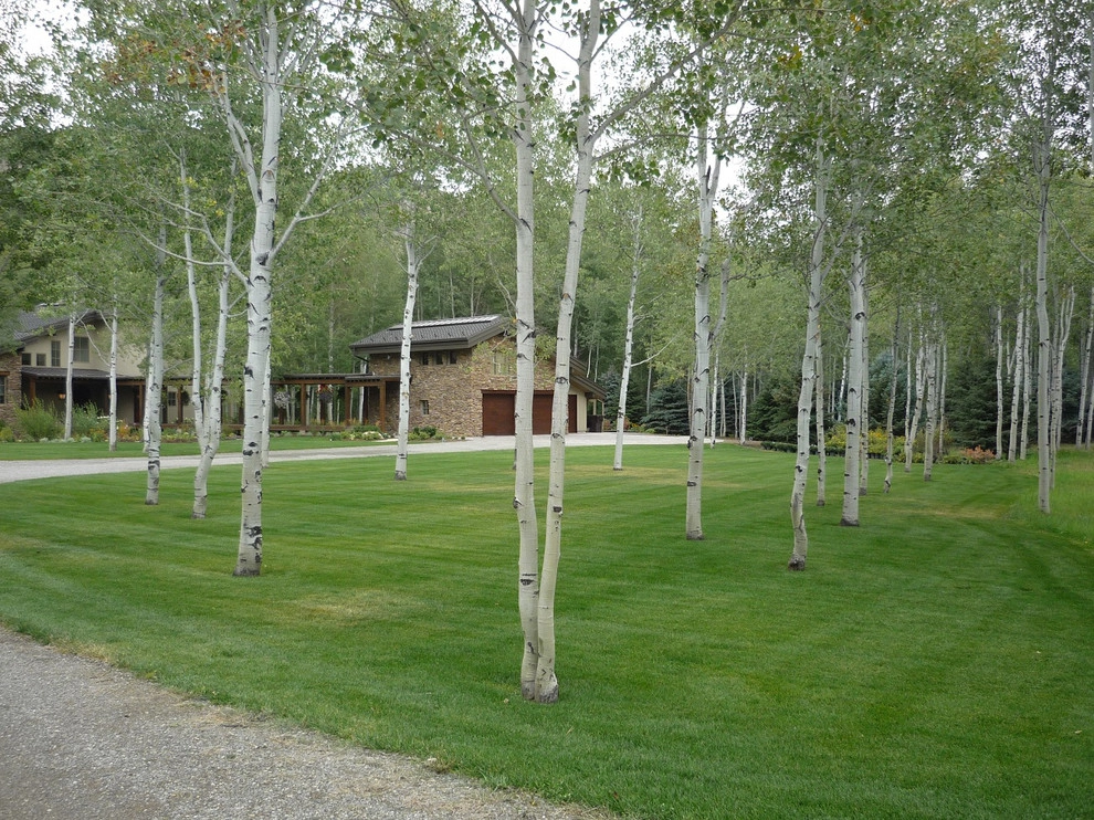 Willey Residence by Lyon Landscape Architects - Photo 7