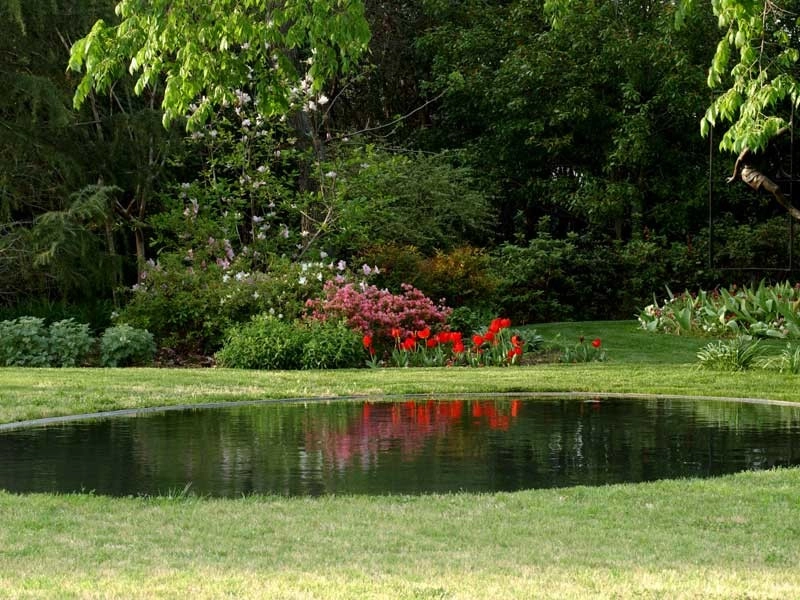 Water Features & Ponds by M. M. Moore Construction Company, Inc. - Photo 9