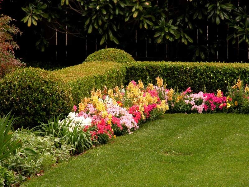 Dallas Flower Bed Design by M. M. Moore Construction Company, Inc. - Photo 3