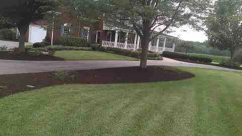 Alberto Alavez Professional Lawn Services LLC 4 by Alberto Alavez Professional Lawn Services LLC - Photo 58