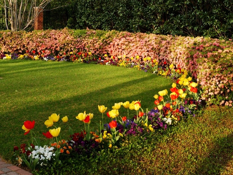 Dallas Flower Bed Design by M. M. Moore Construction Company, Inc. - Photo 2