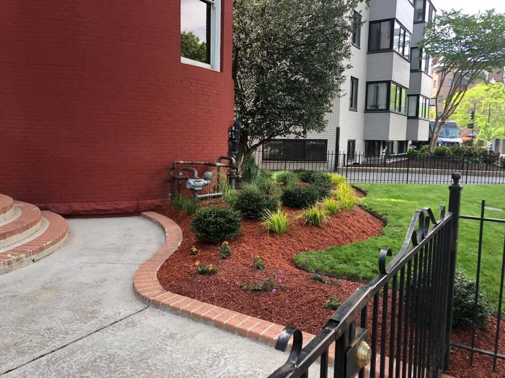 Landscape Remodel by MA Cleaning & Landscaping Design Inc - Photo 2